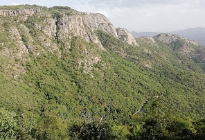 Tirumala Hills