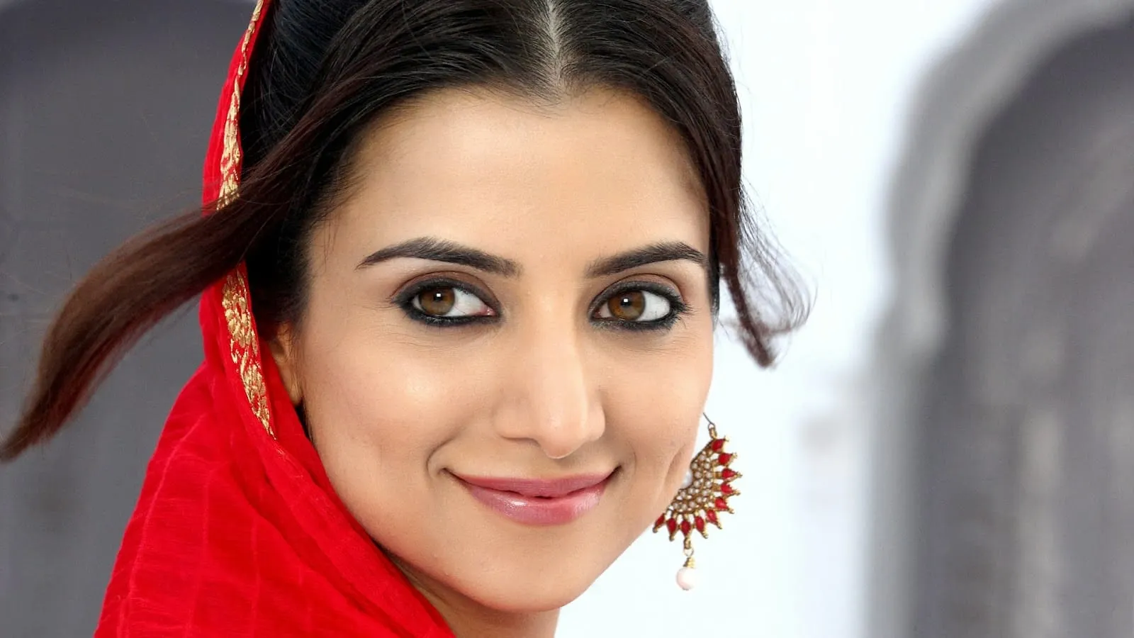 lucky kabootar 1 wallpapers