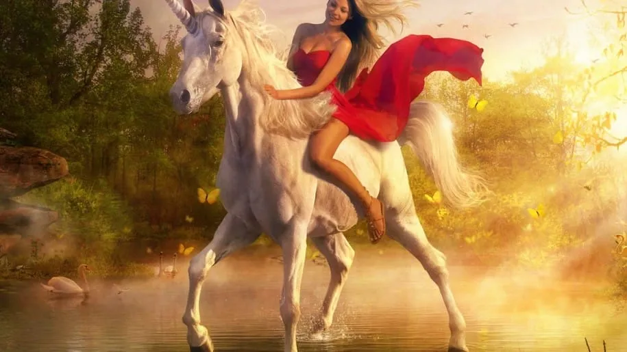 animal pictures horse wallpapers hd photos horse wallpaper