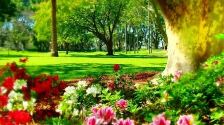 beautiful nature hd wallpapers 3