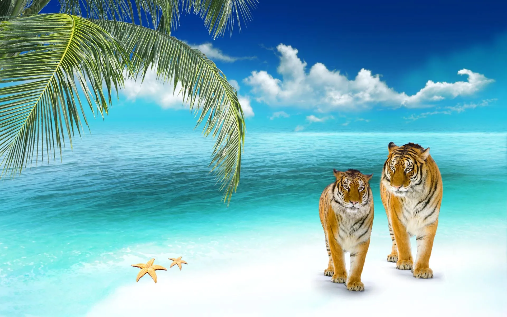 beach images wallpapers