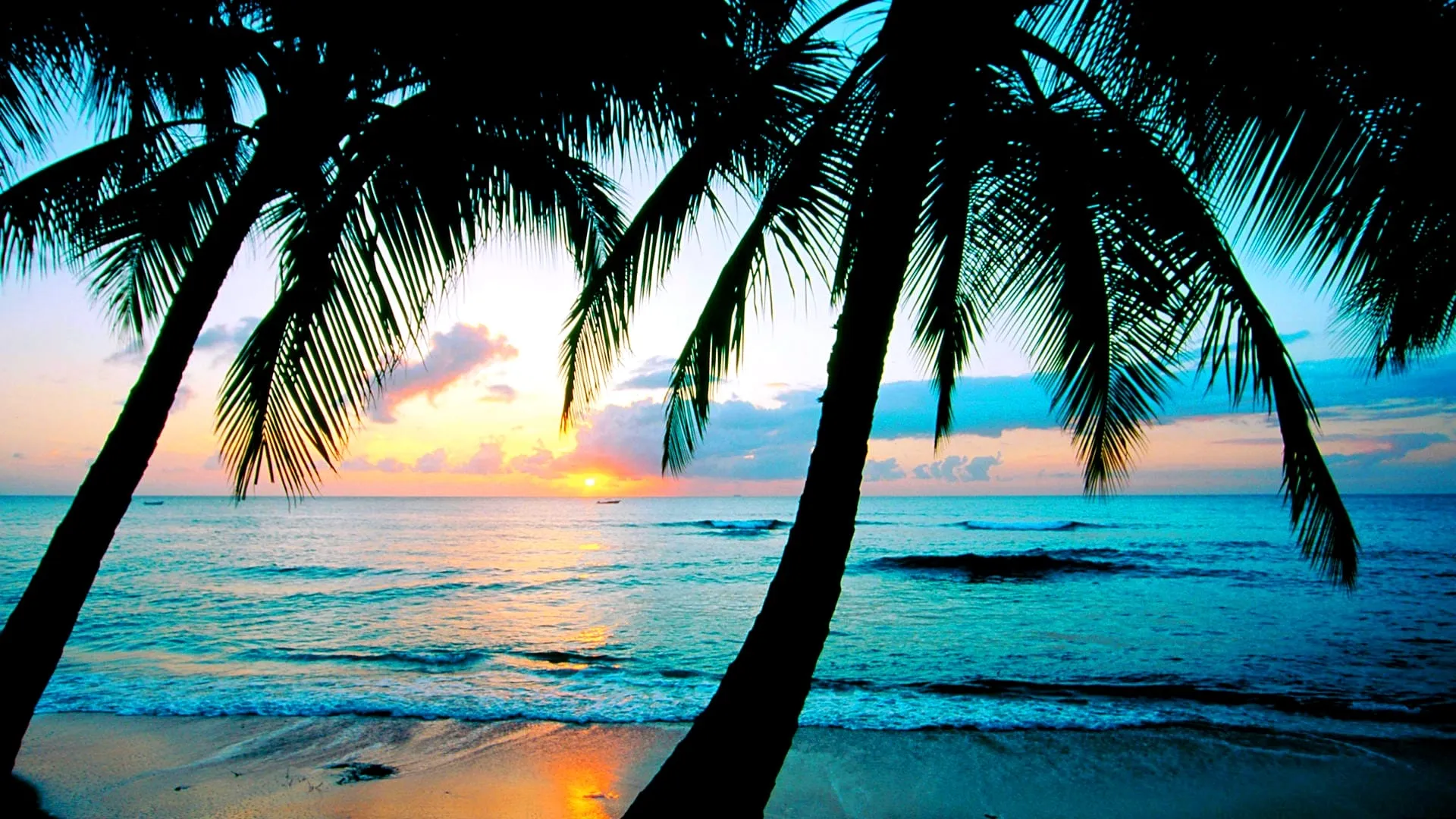 beach images wallpapers 2