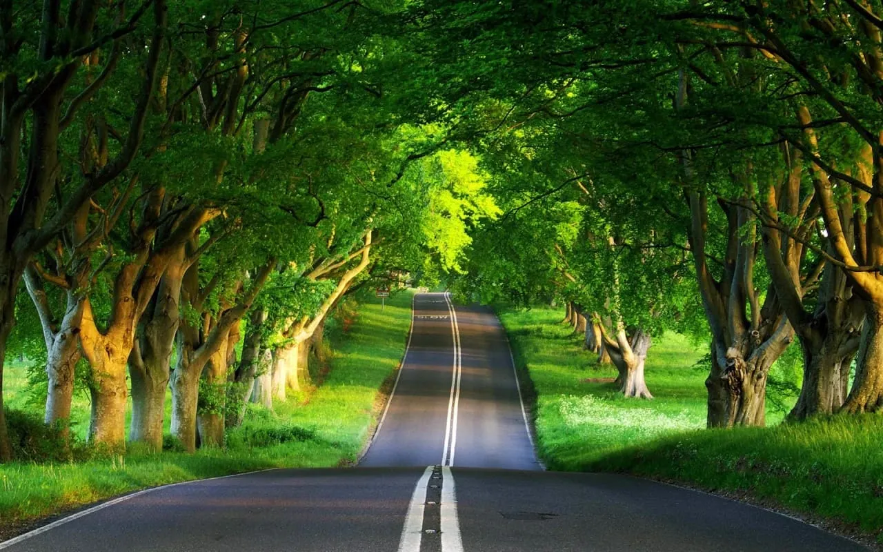 hd nature wallpapers