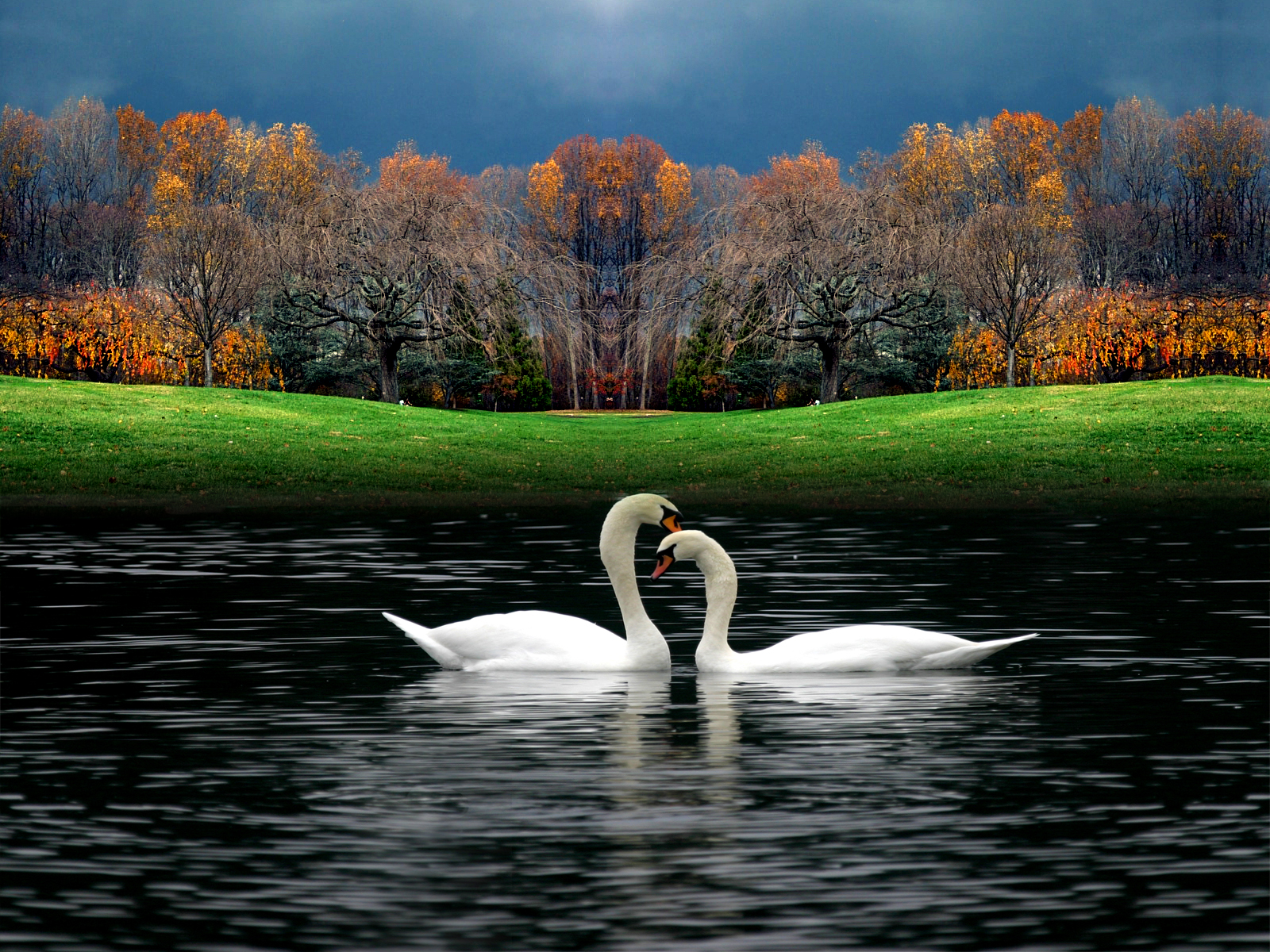 Beautiful-Nature-hd-wallpapers