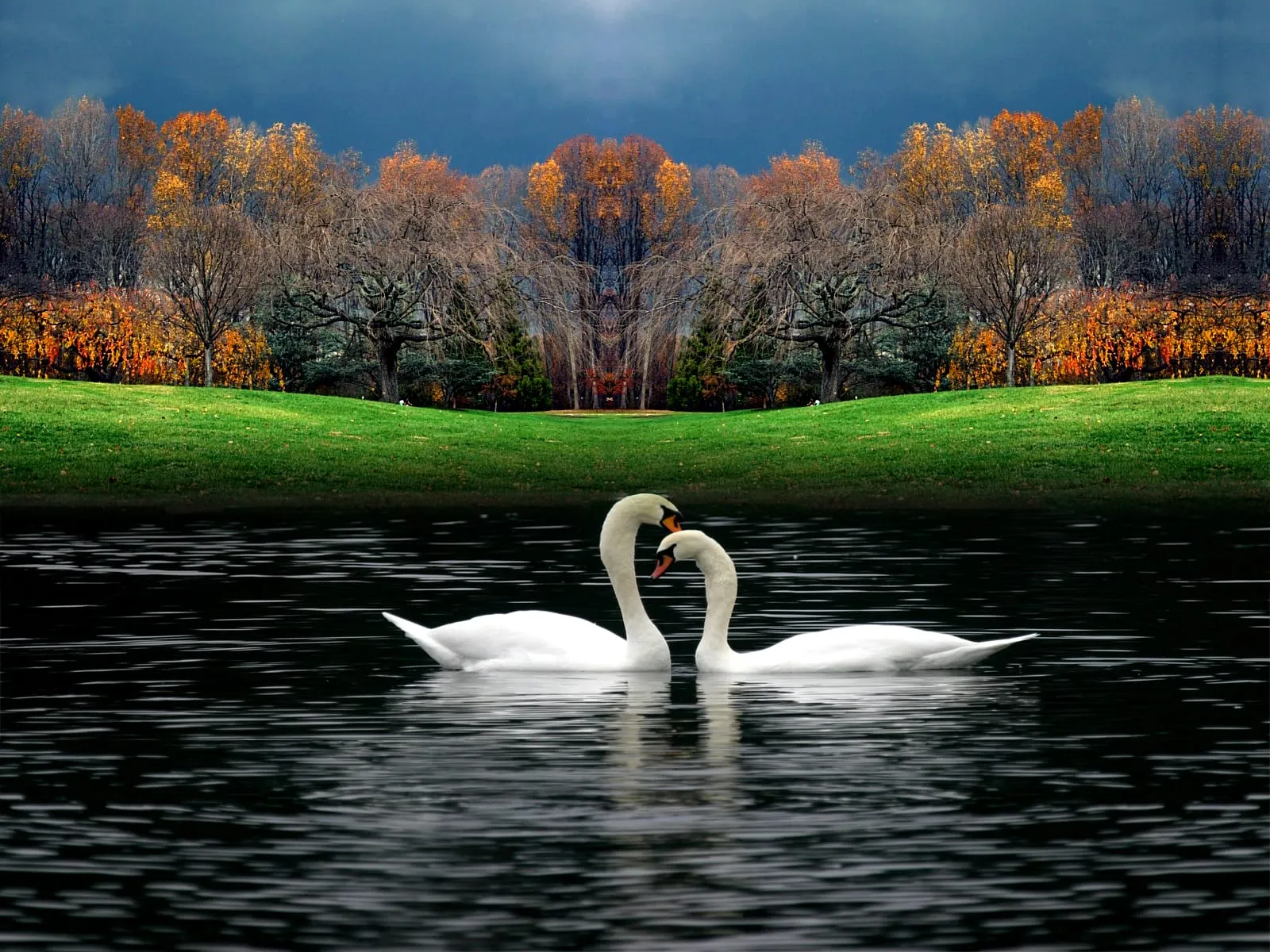 beautiful nature hd wallpapers 2