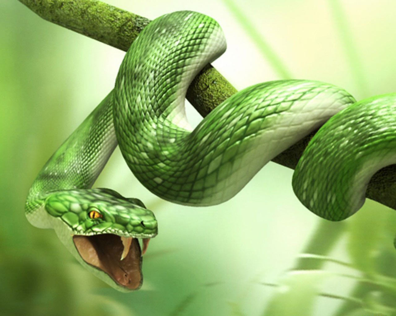Animals-Snake-Wallpapers
