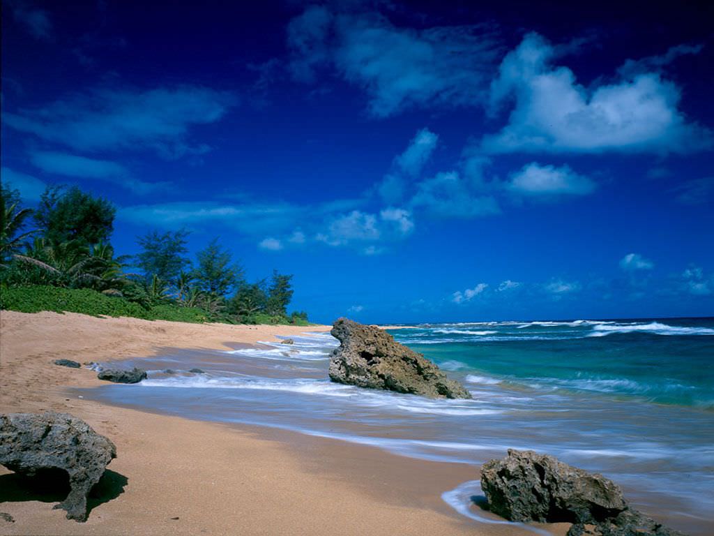 Tropical-Desktop-Classy-Background