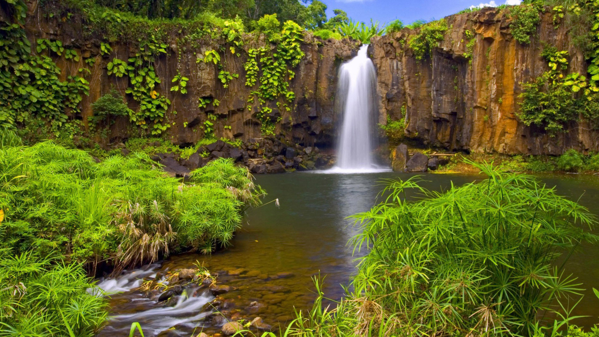 Waterfall-in-the-jungle-rocky-shore-pool-water