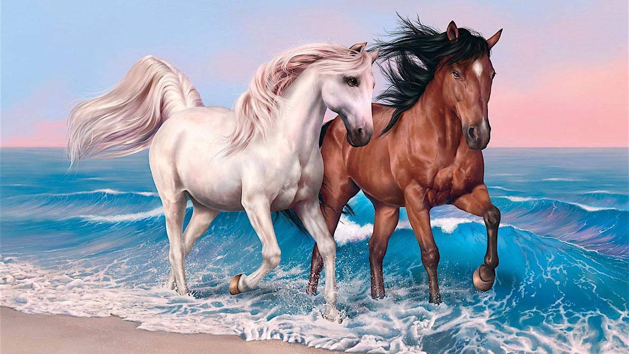 animal pictures wallpapers hd horses photos wallpaper