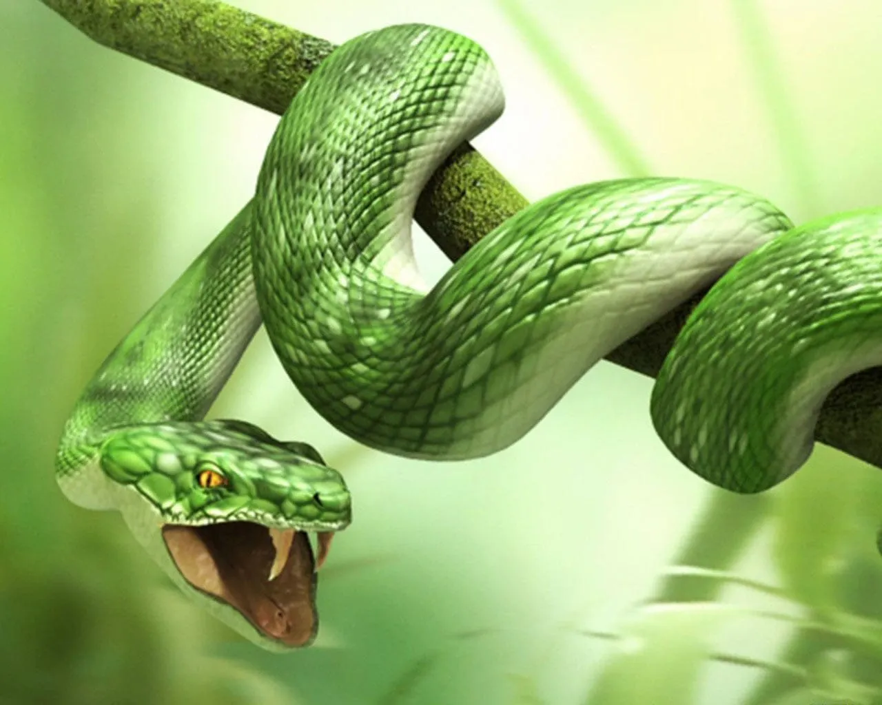 animals snake wallpapers