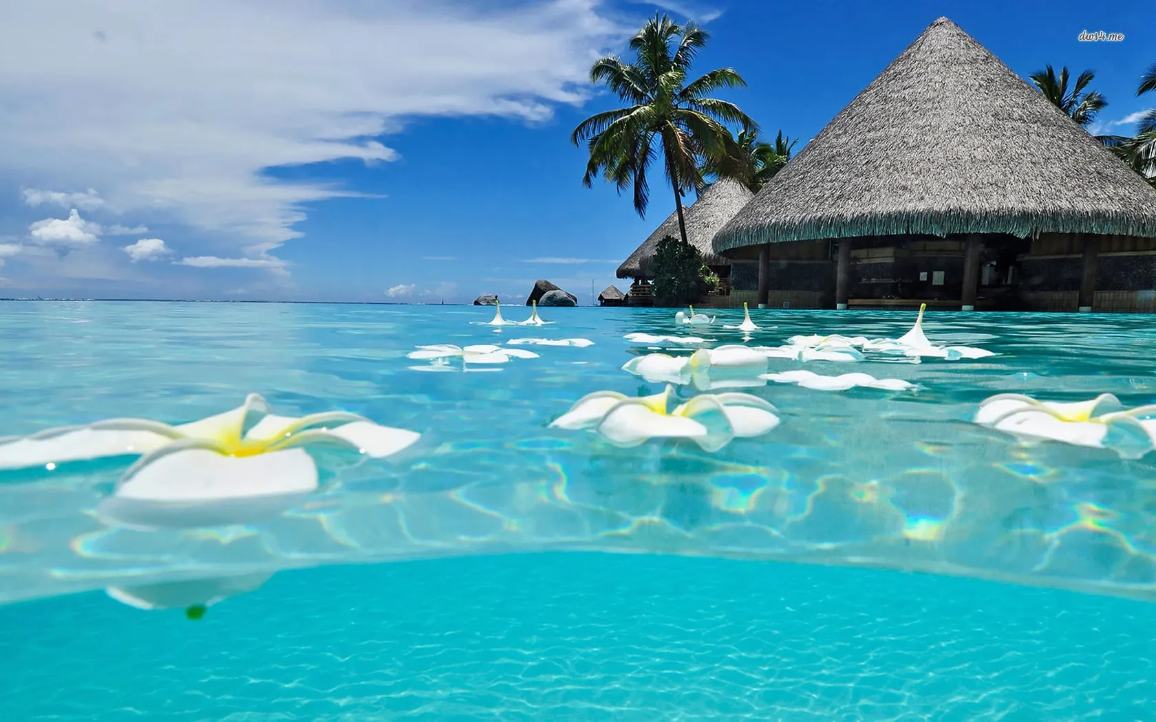 beach images wallpapers 3