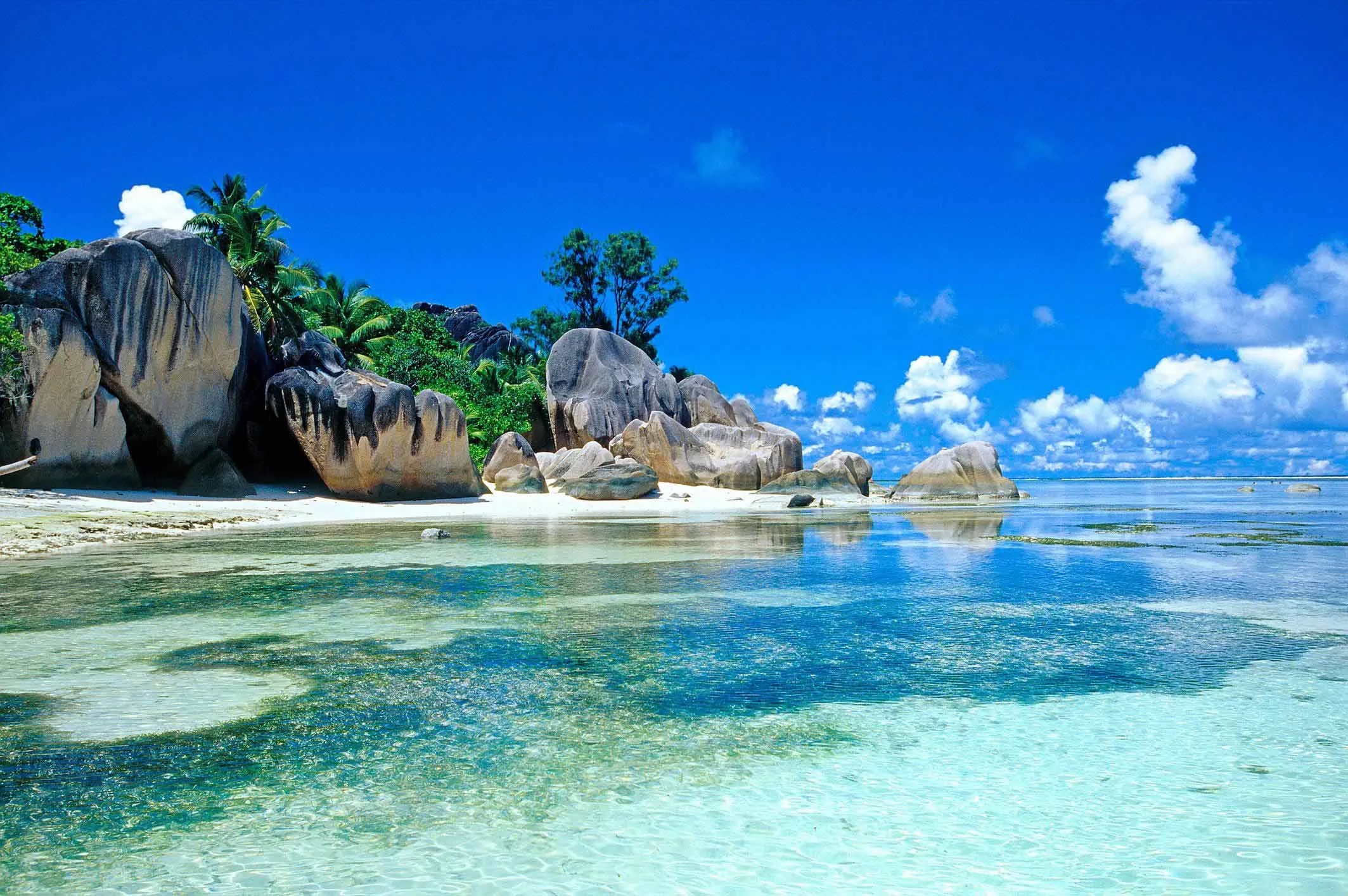 beach wallpaper on wallpaper hd