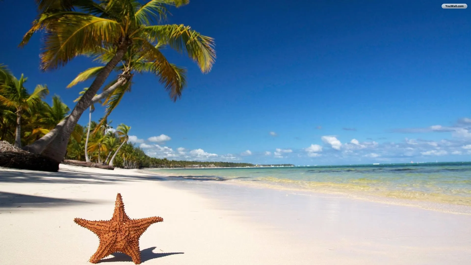 beach images wallpapers 4