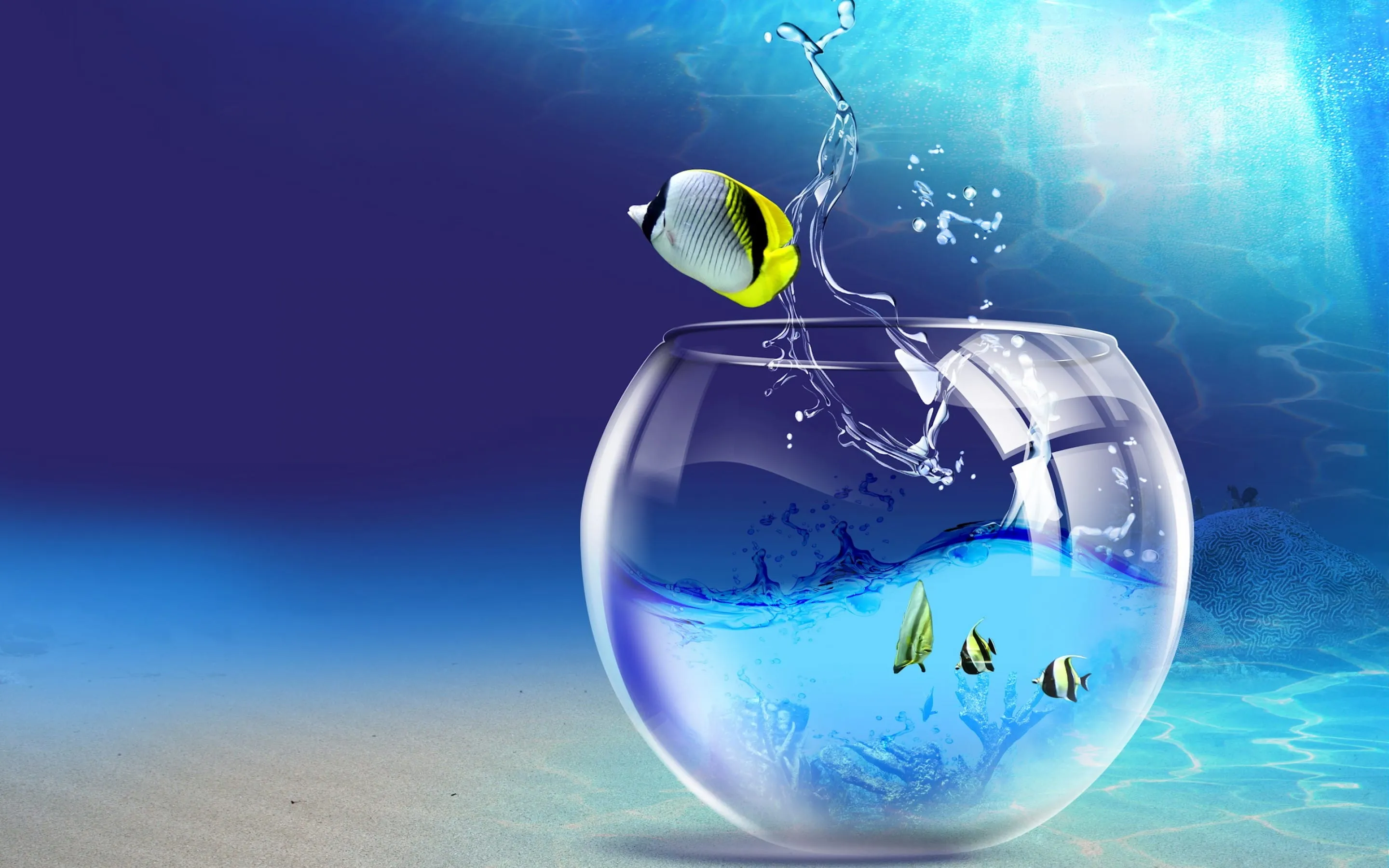 beautiful 3d fish flying wallpaper