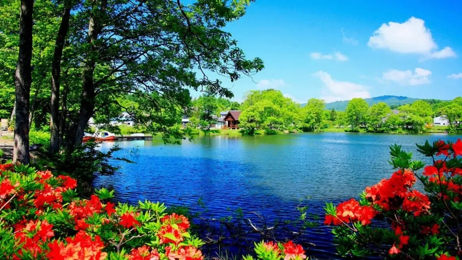 beautiful nature scenery wallpapers beautiful scenery wallpaper desktop wallpapers hd