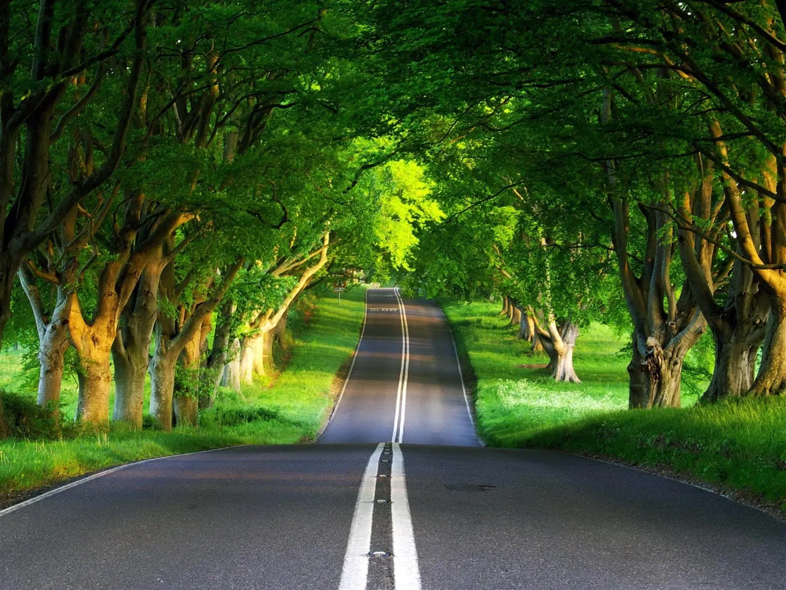 beautiful scenery hd wallpapers pictures 11