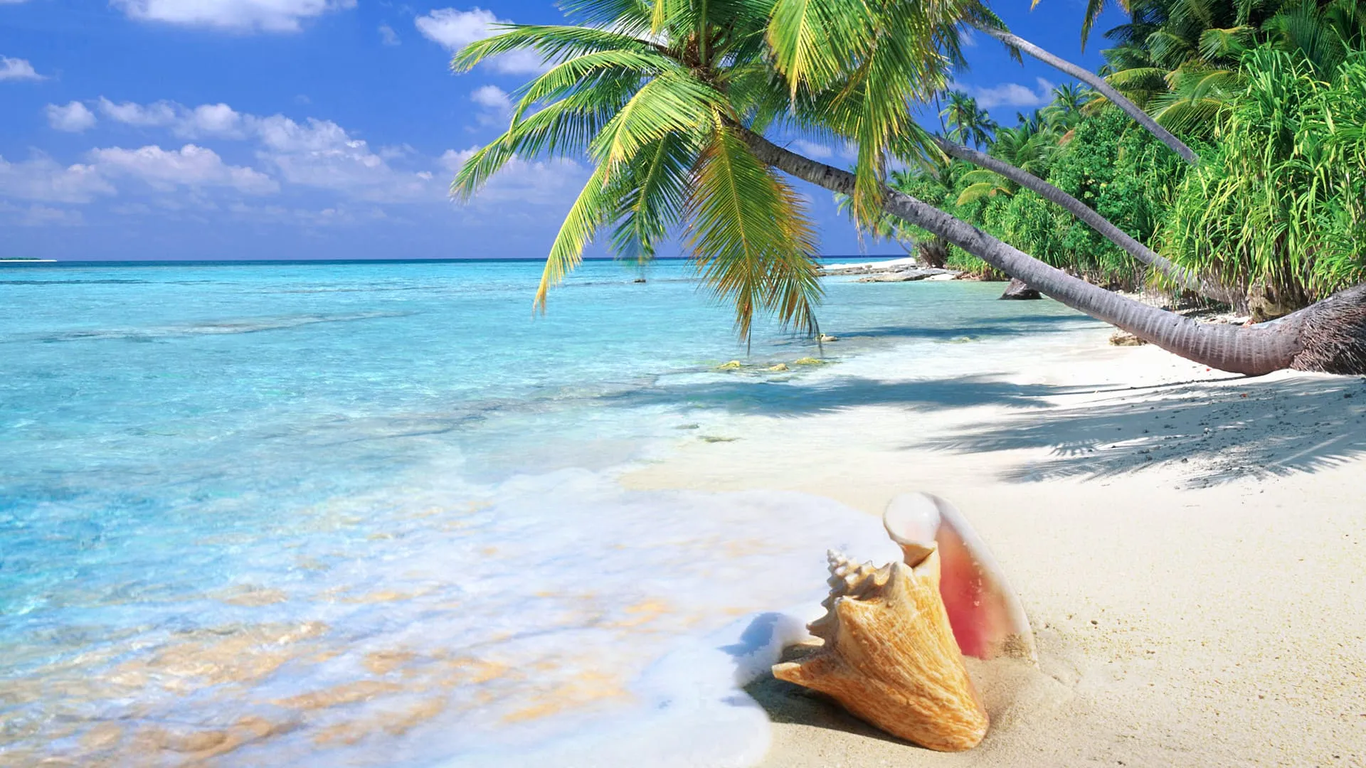 beautiful tropical beach full screen high definition desktop background