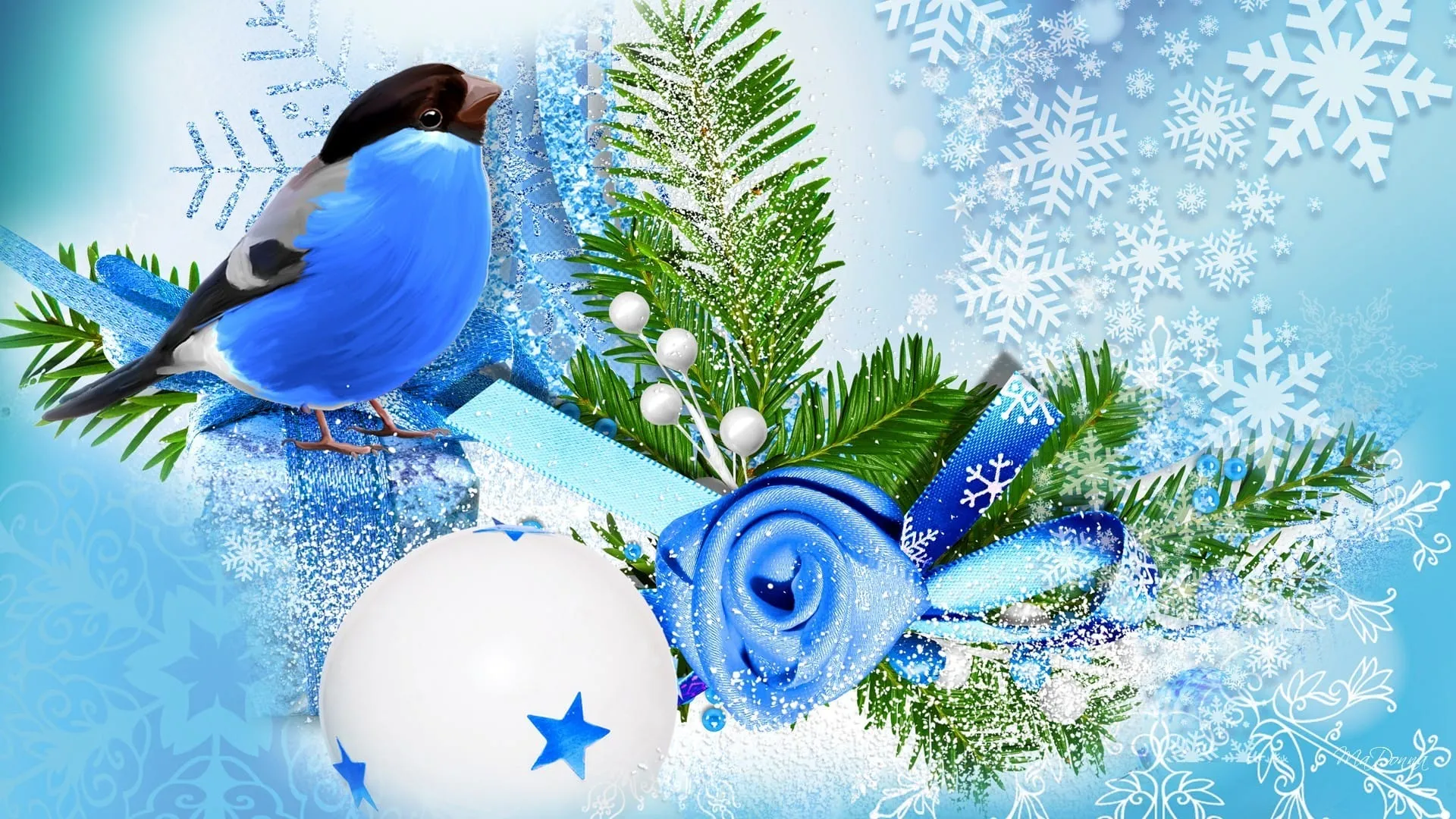 blue bird winter season 1920x1080 wallpaper