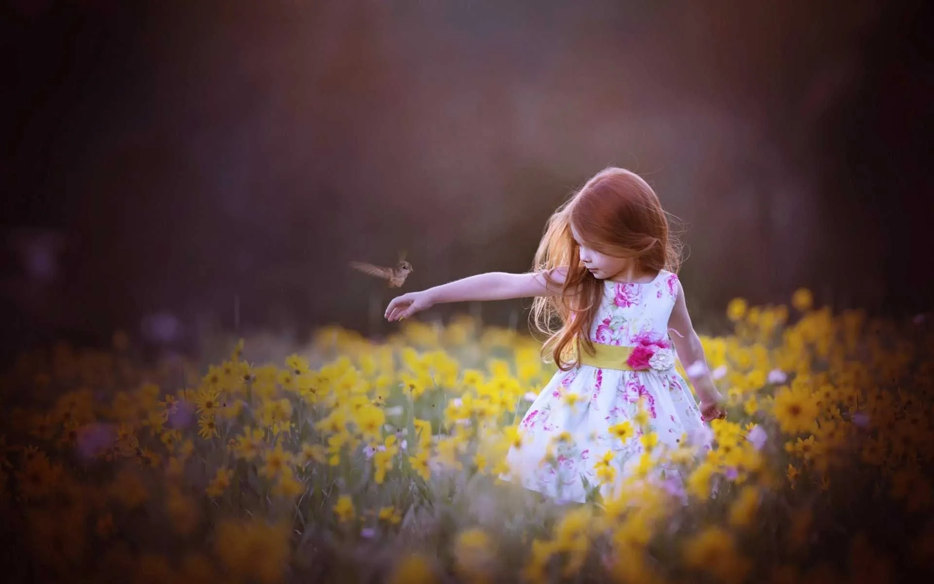 cute little girl with bird hd wallpaper