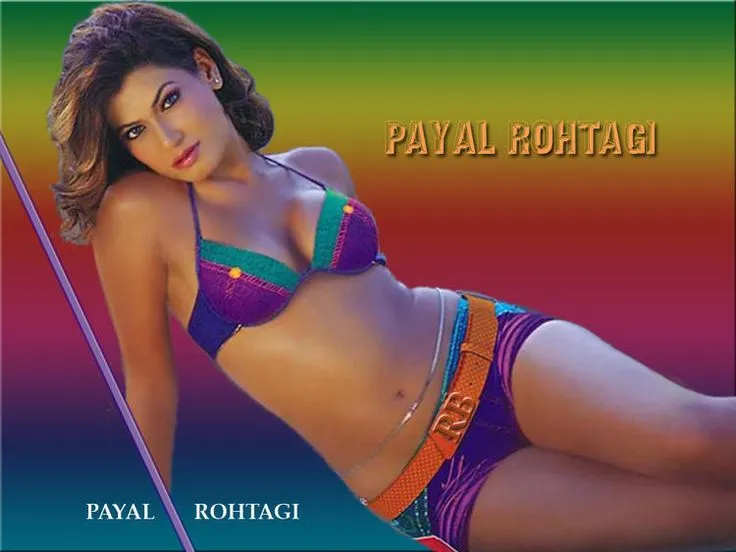 payal rohatgi full hd bikini wallpaper