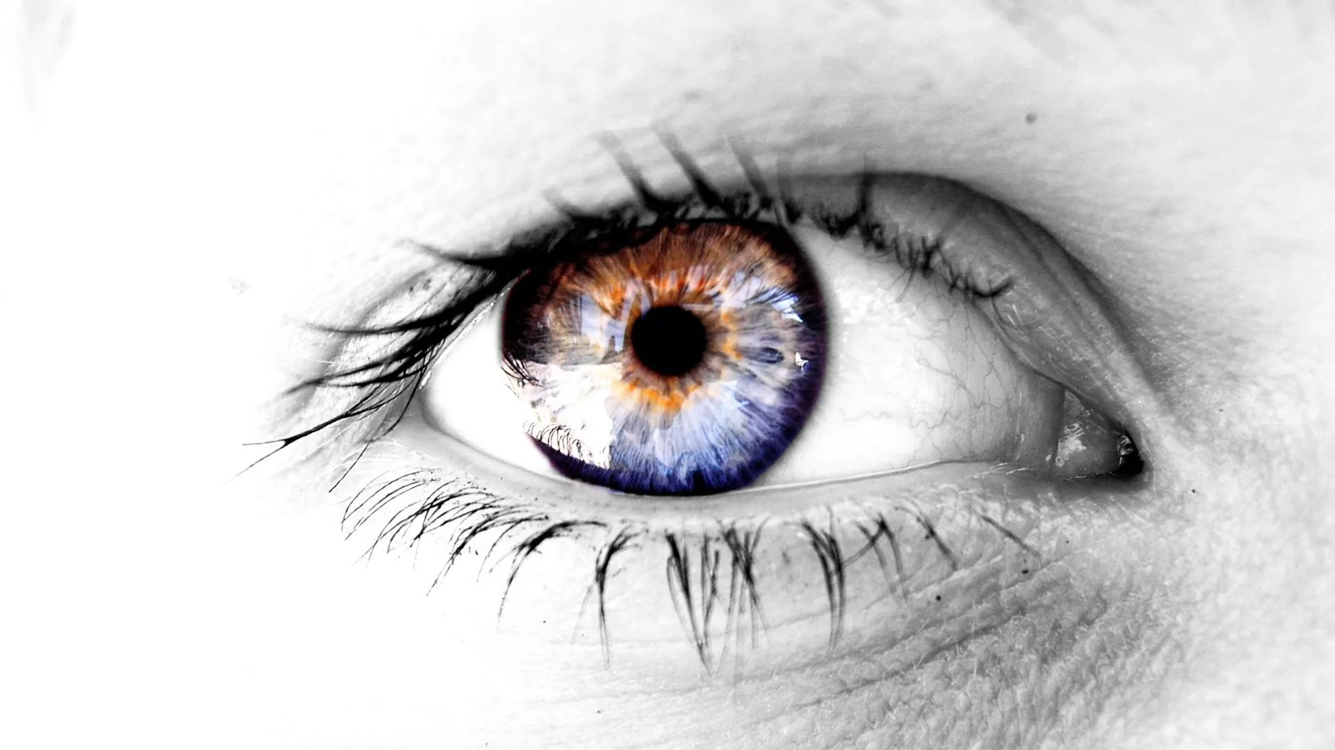 eyes creative design hd wallpaper
