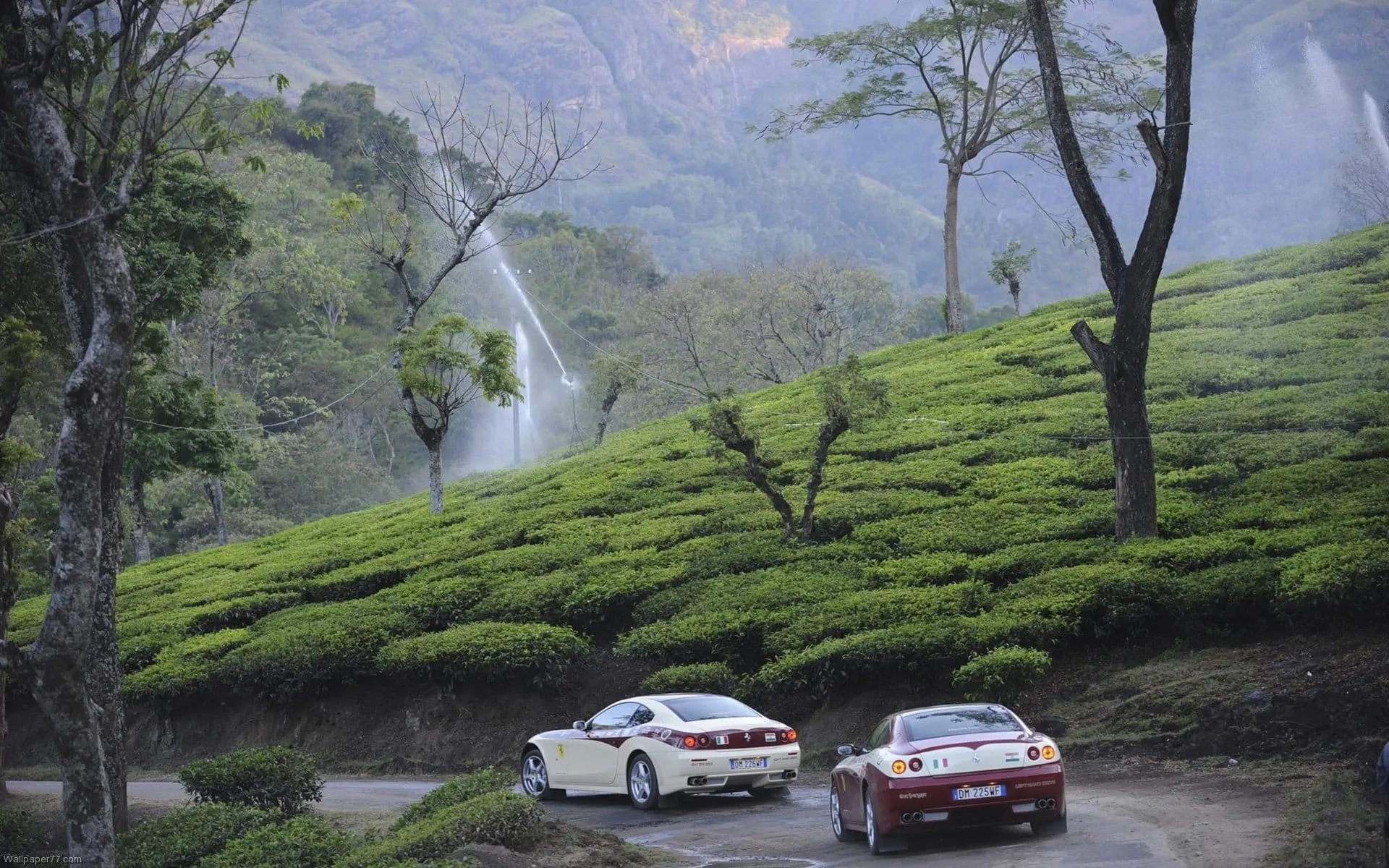 ferrari wallpapers green india wallpaper car tagged