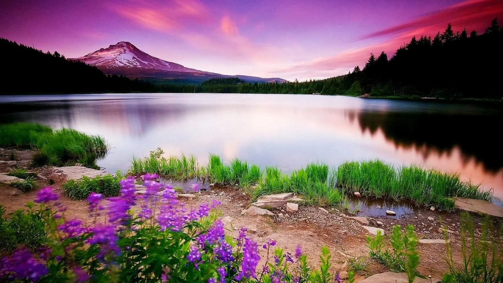 beautiful nature hd wallpapers 5