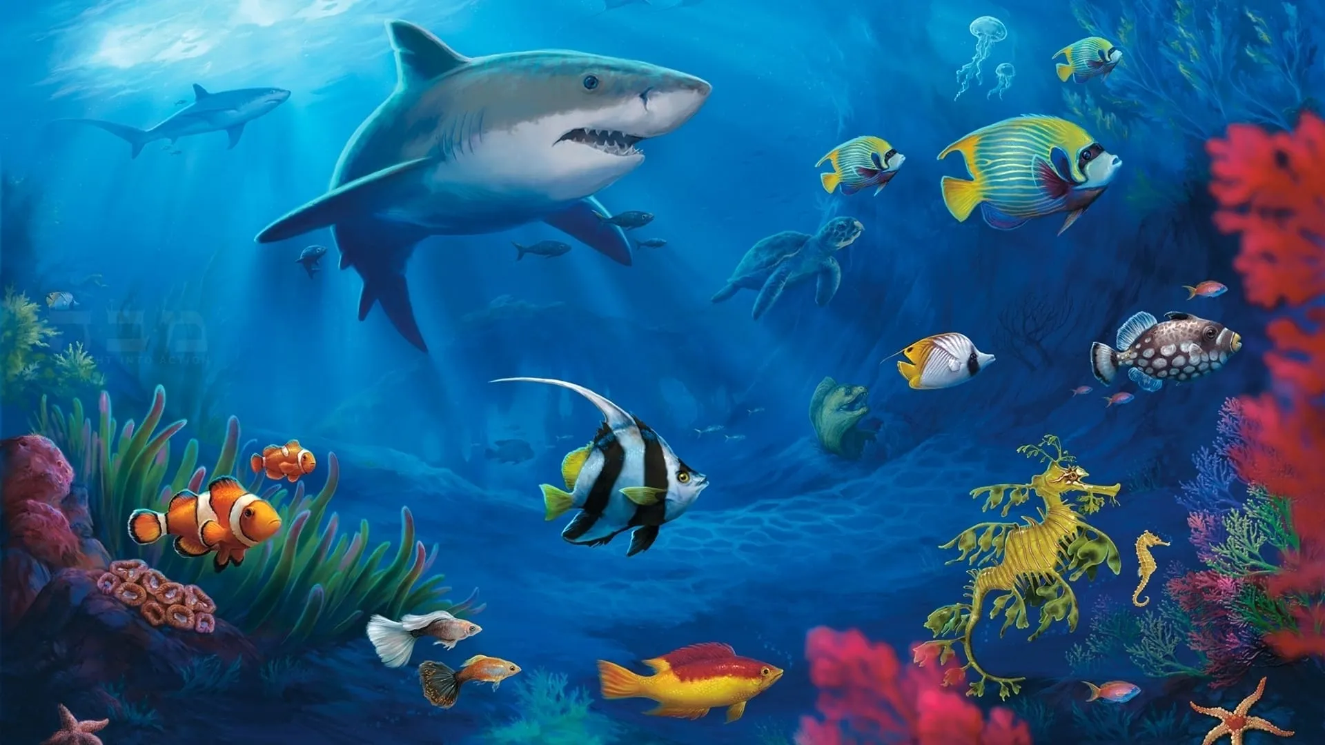 fish desktop wallpaper 4k