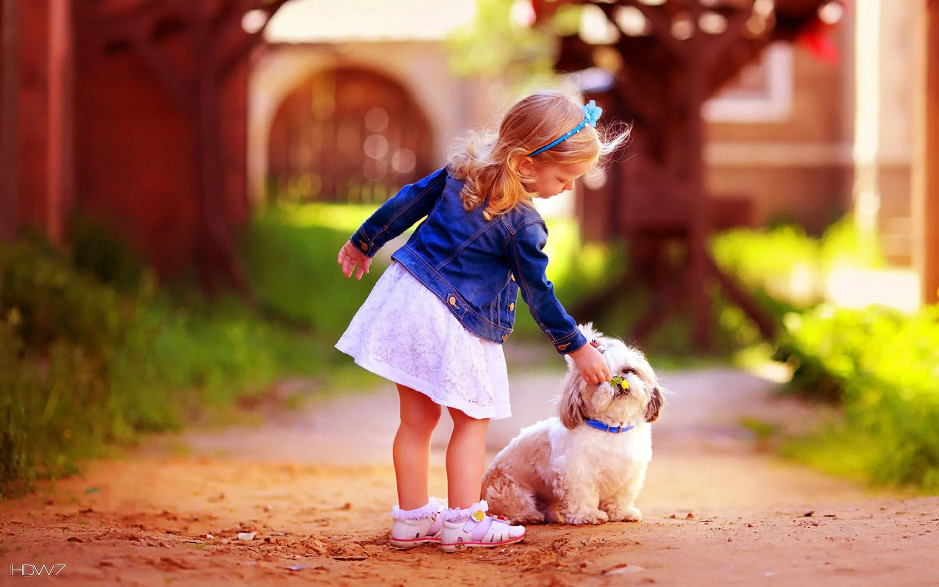 girl with cute dog friendship hd wallpaper