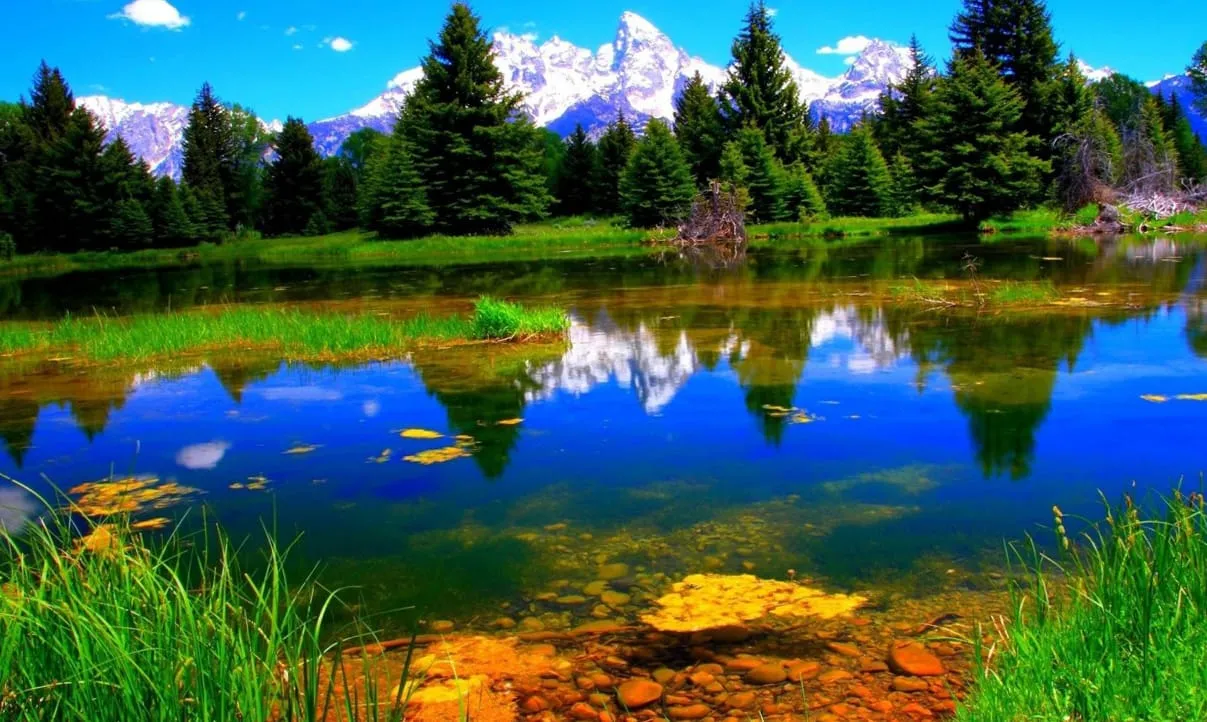 hd wallpapers mother nature windows beautiful green cool