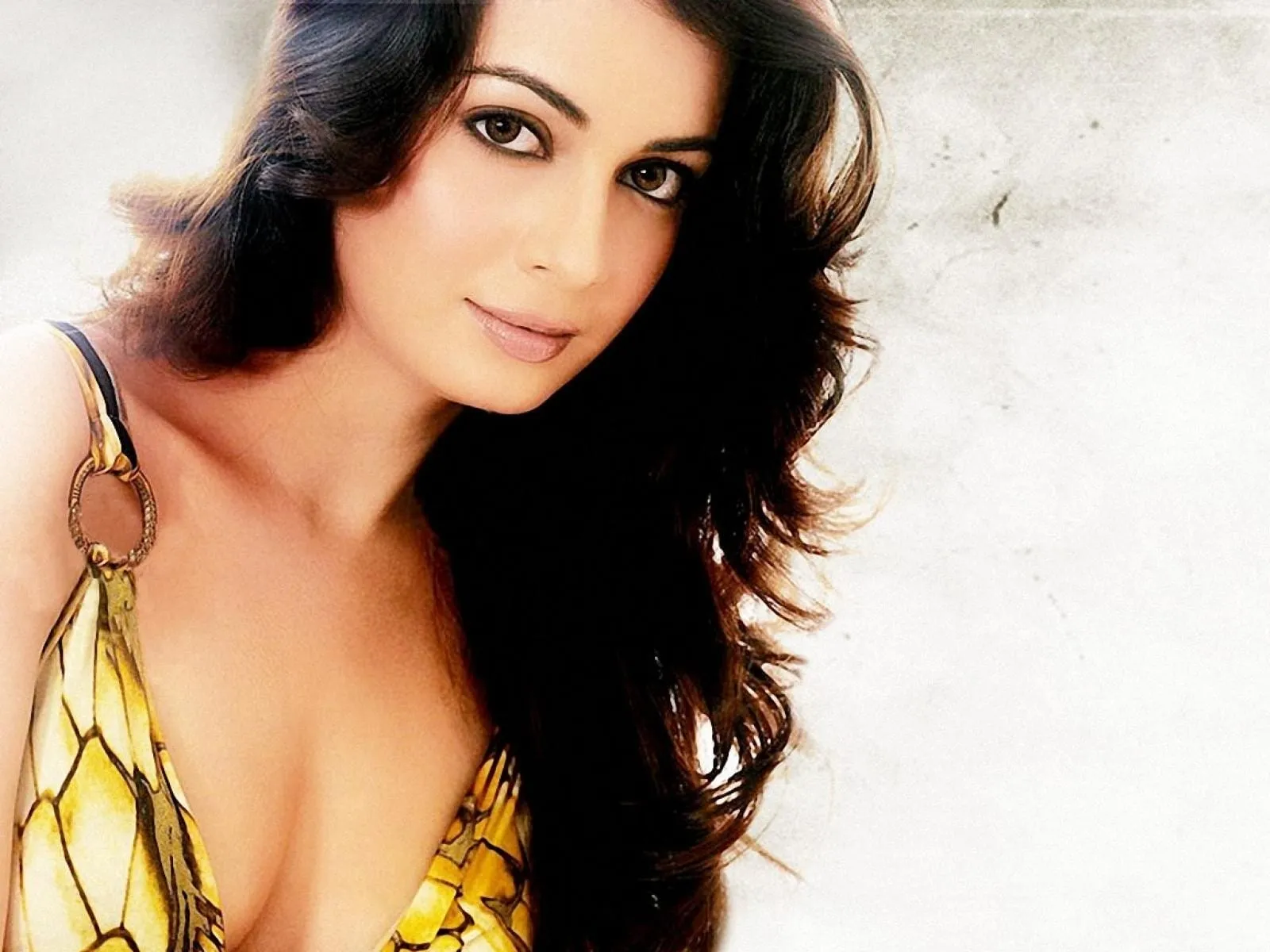 hot dia mirza hd wallpapers