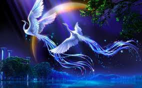 Birds Wallpapers