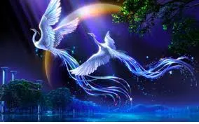 birds wallpapers 4