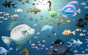 Fish Wallpapers