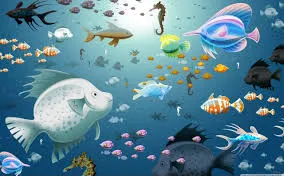 fish wallpapers 6