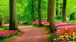 Beautiful-Nature-hd-wallpapers