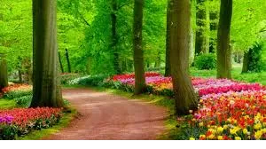 beautiful nature hd wallpapers 6