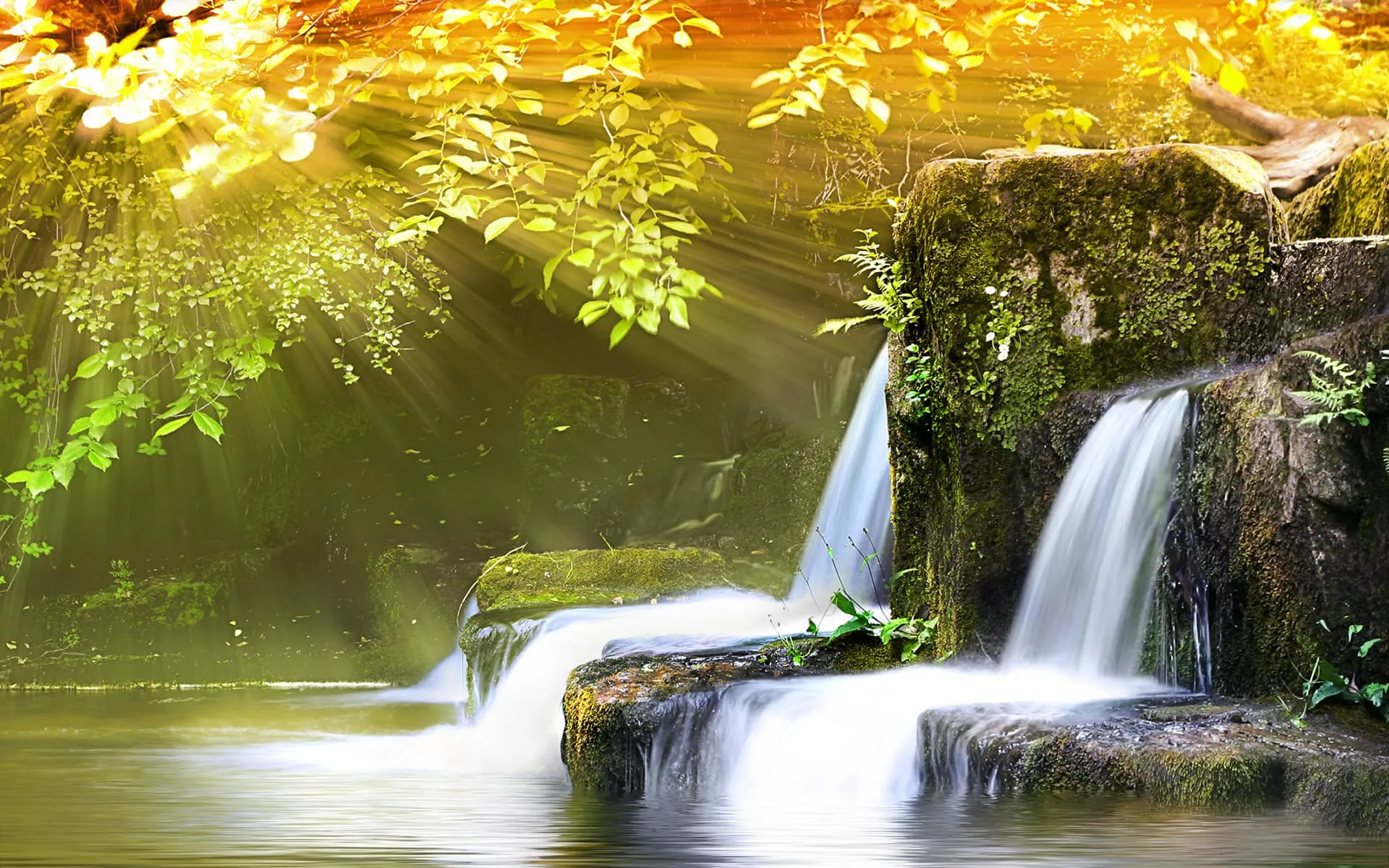 landscape nature