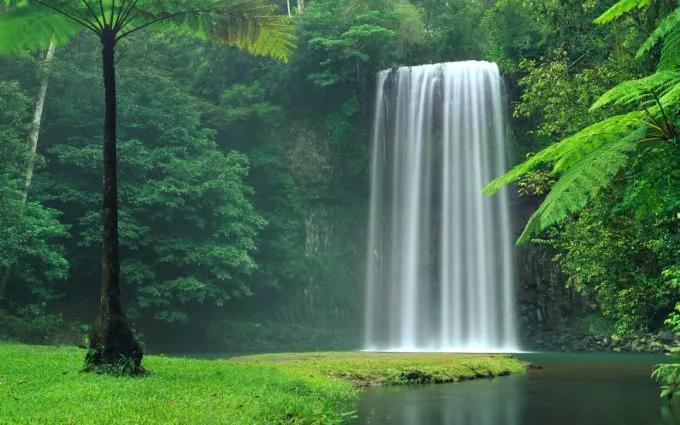millaa millaa falls 3840x2160 waterfall