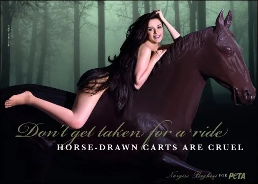 nargis bagheri hot sexy wallpapers