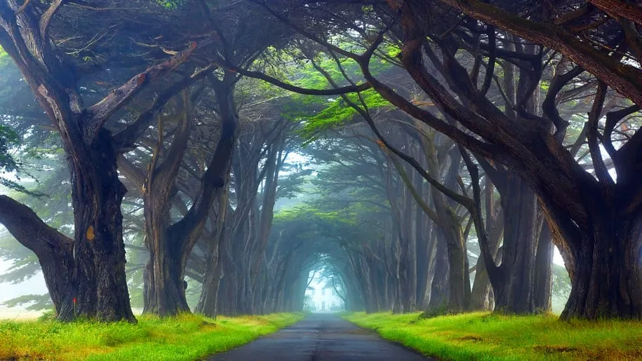 national seashore california desktop wallpaper