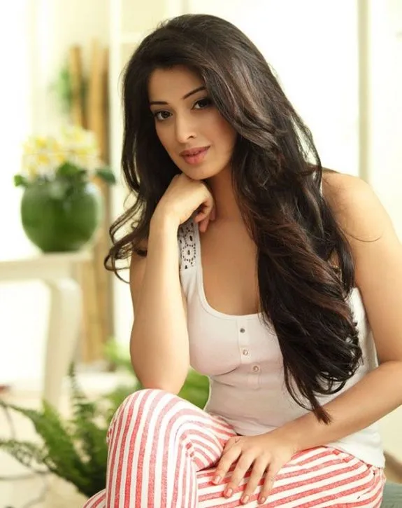 raai laxmi indian models