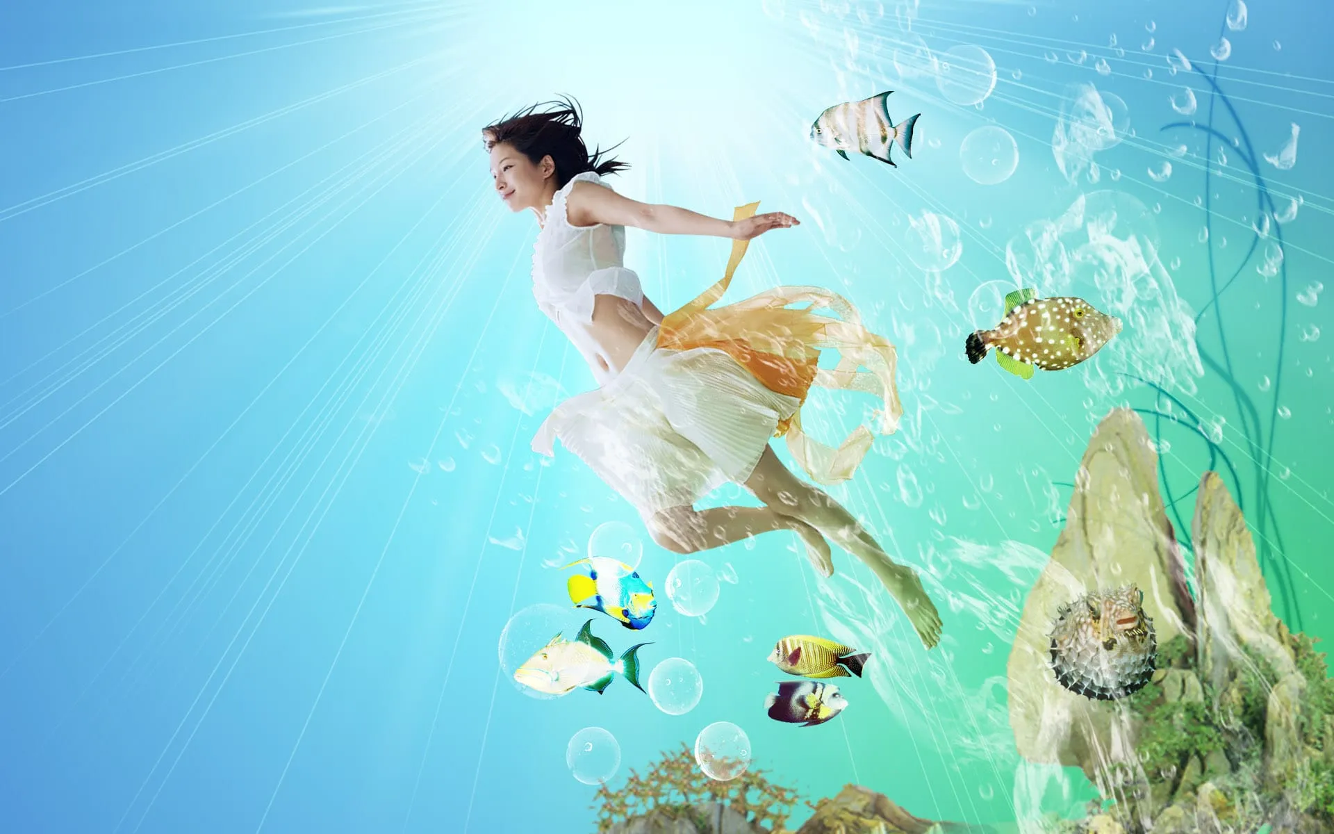 sea fish wallpapers download