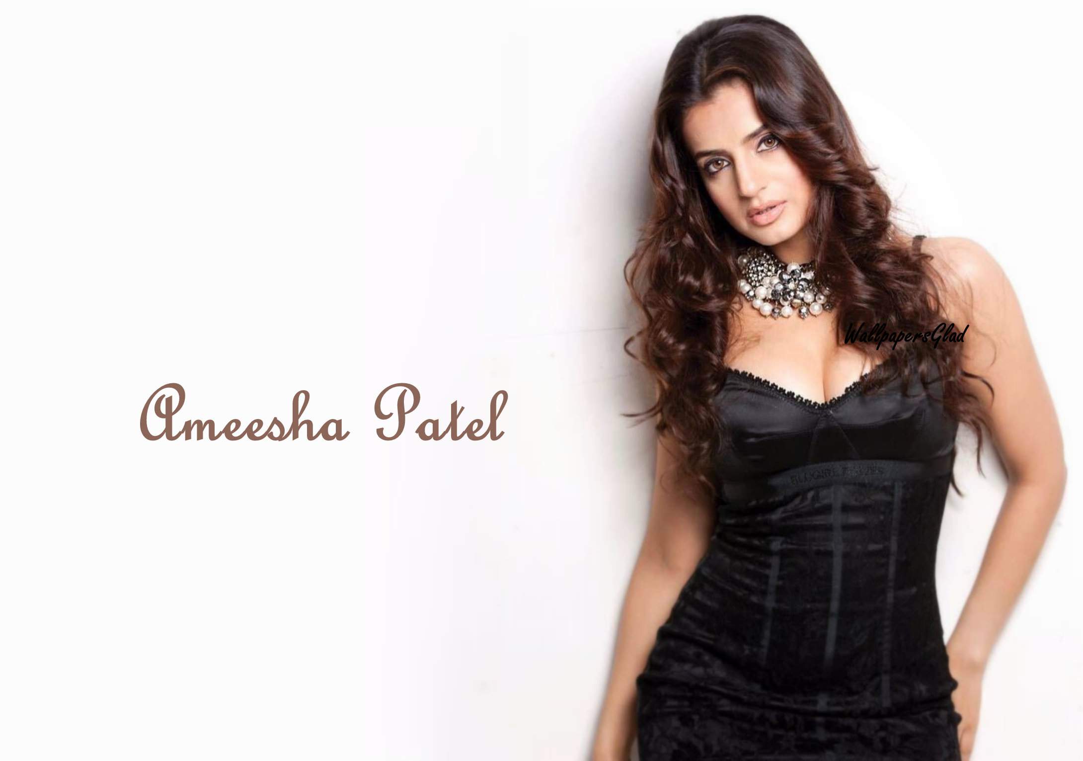 sizzling ameesha patel in black outfit hd wallpaper