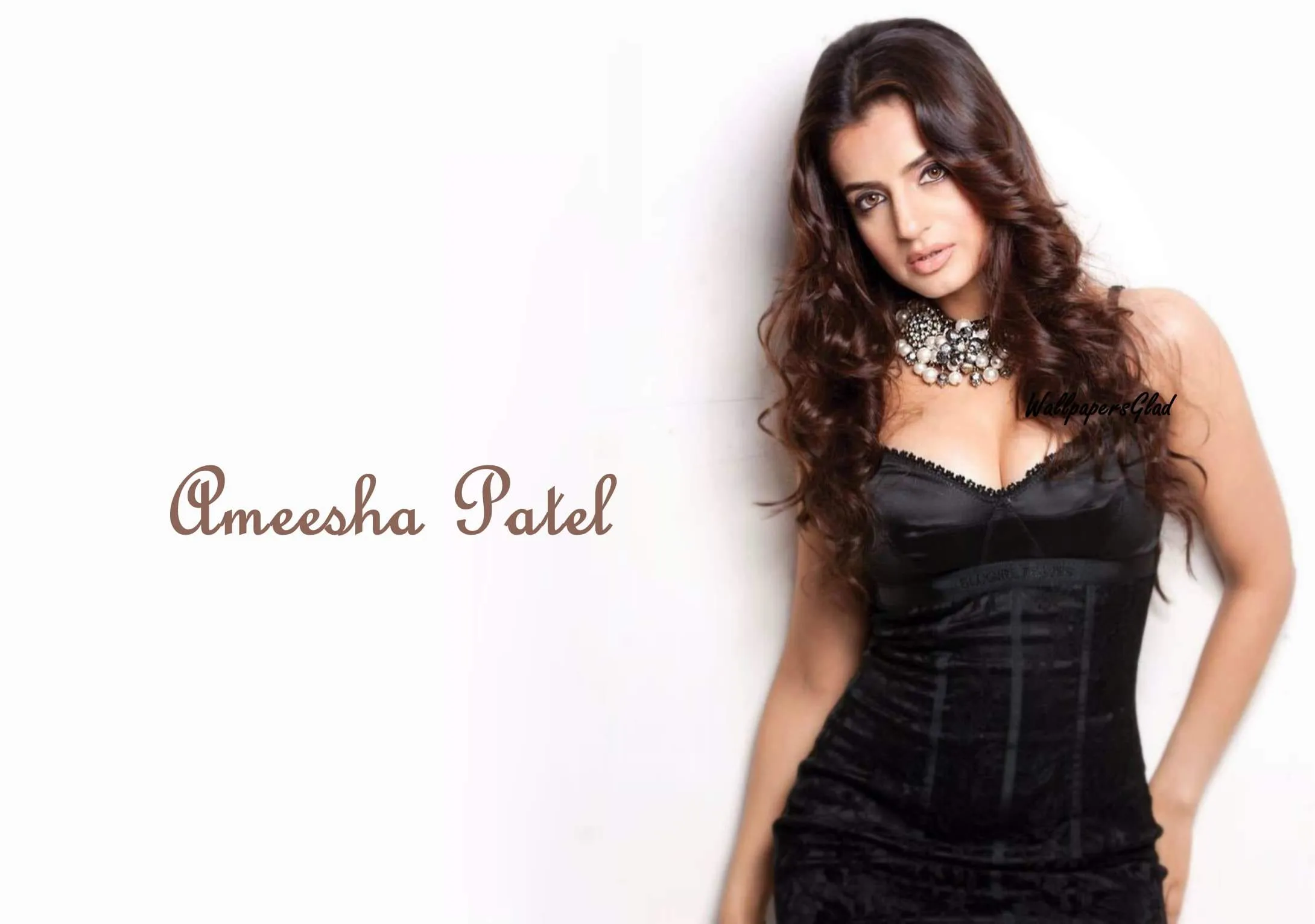 sizzling ameesha patel in black outfit hd wallpaper