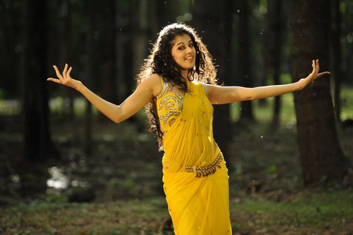 taapsee pannu in saree hd wallpaper free