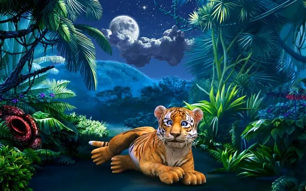 tiger hd wallpaper