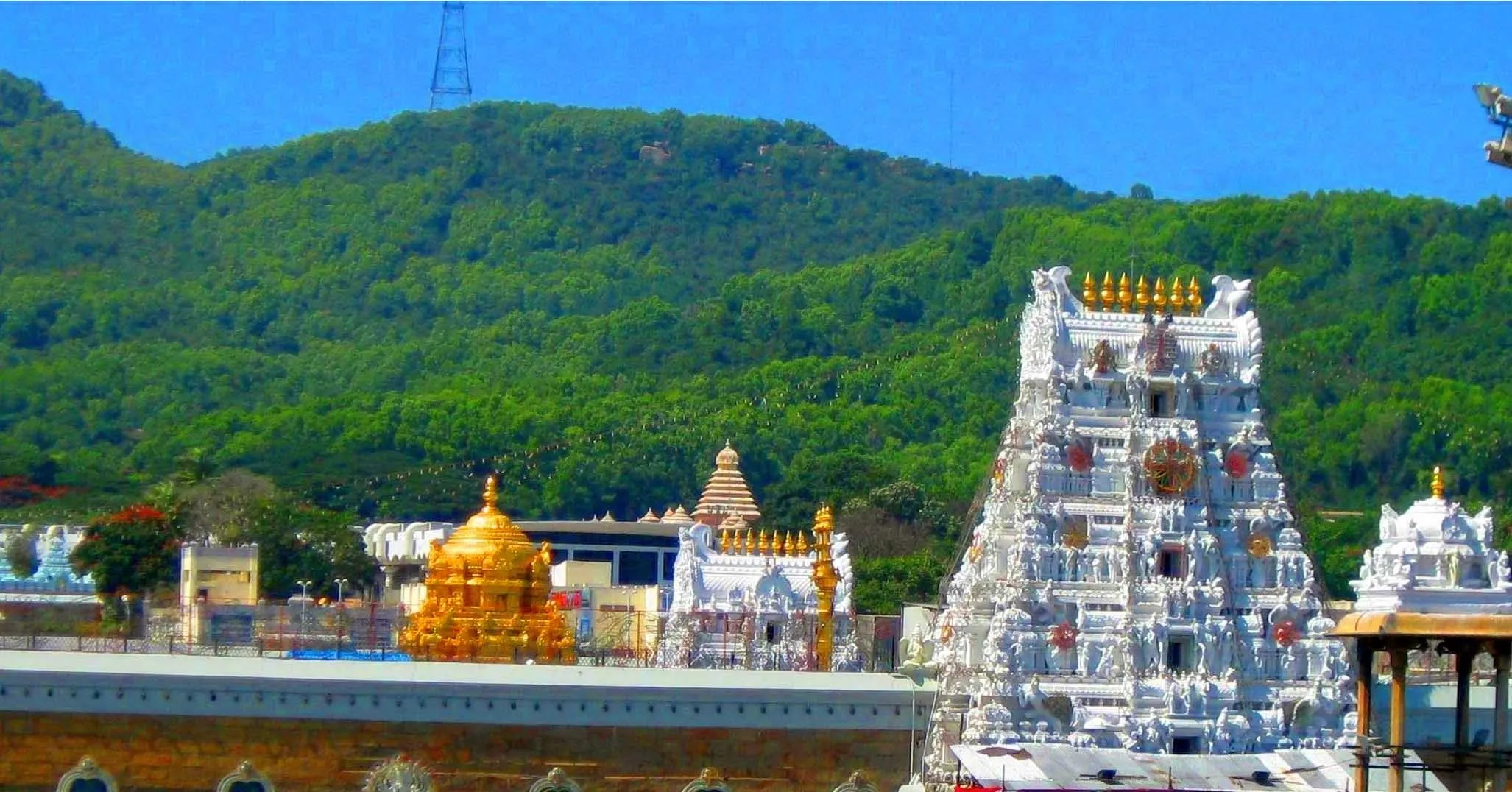 tirumal tirupati balaji temple wallpapers for desktop
