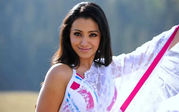 trisha hot in transparent saree