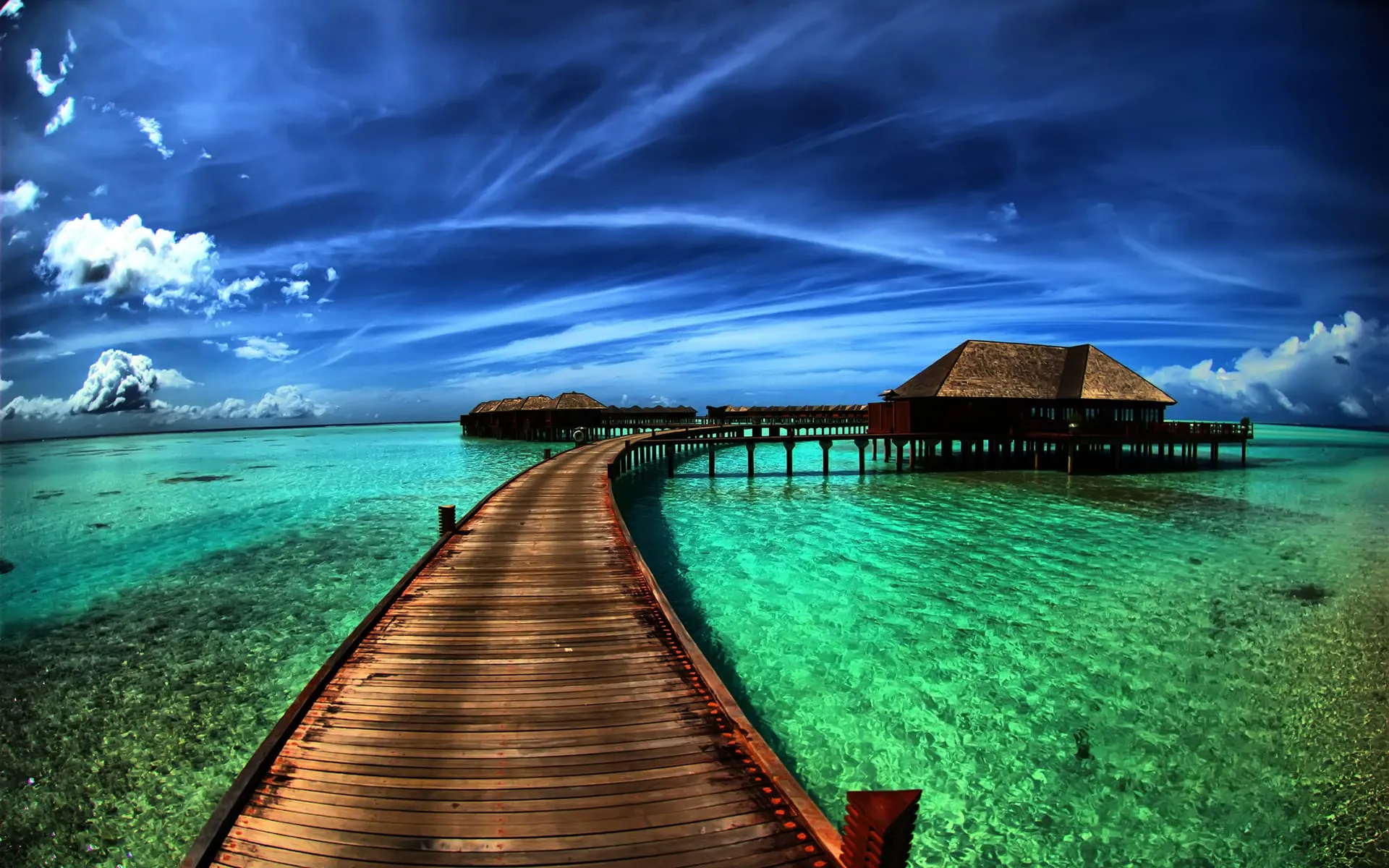 tropical beach background